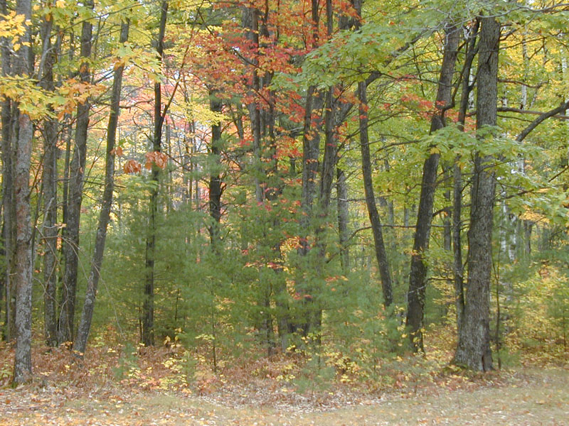 DSCN7434