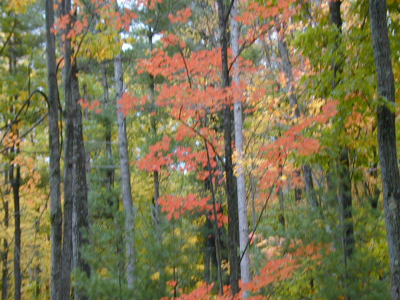 DSCN7471