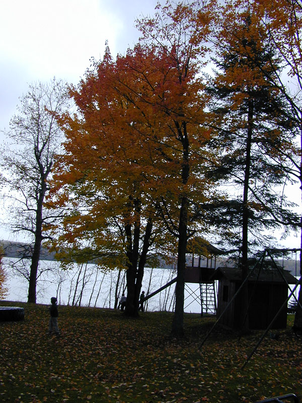 DSCN7501