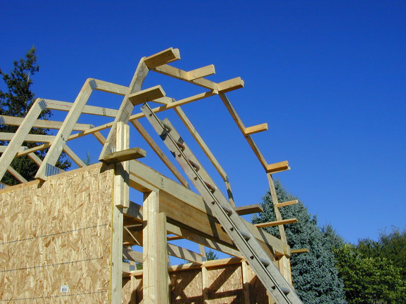 DSCN7256