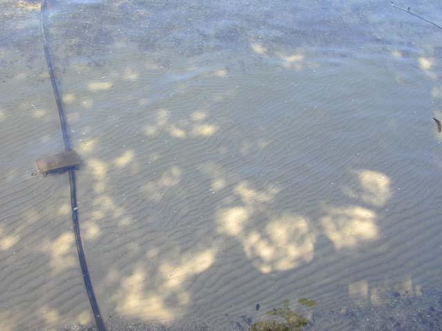 DSCN8212
