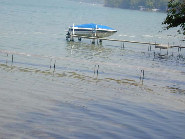 DSCN8213
