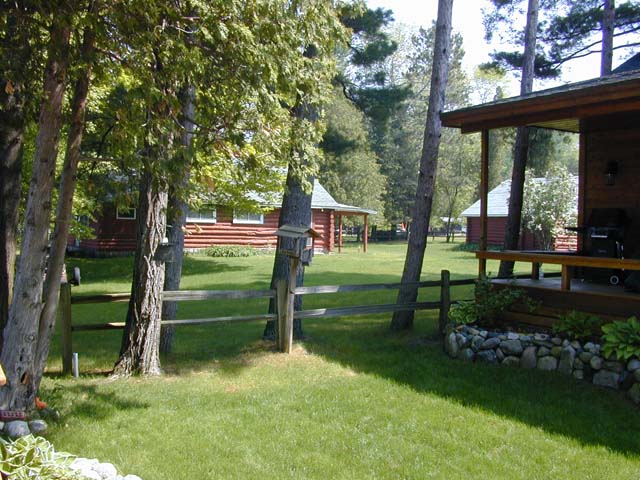 DSCN8223