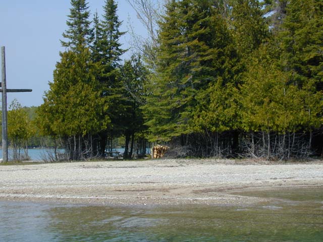 DSCN8247