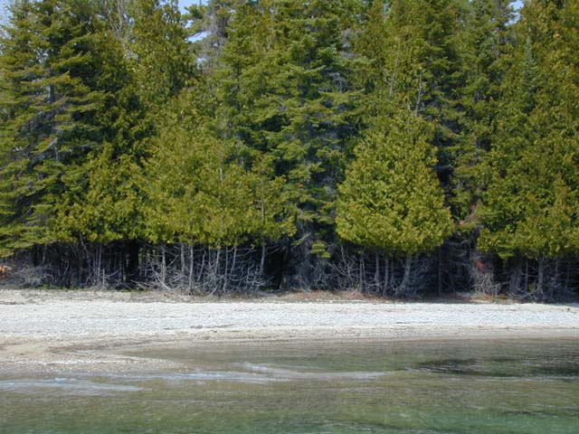 DSCN8249