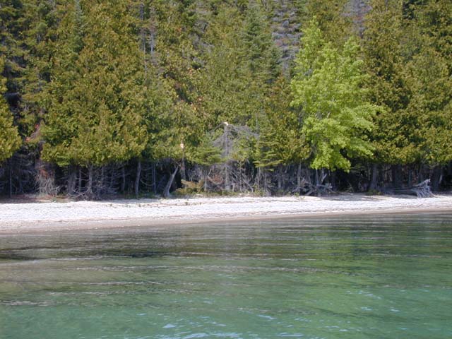DSCN8252
