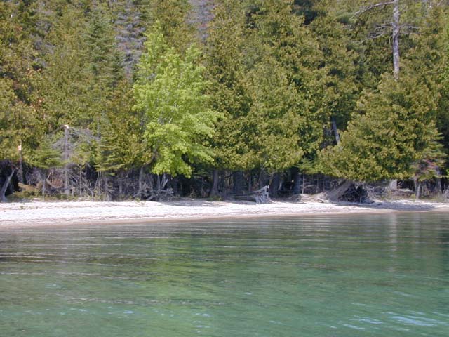 DSCN8254
