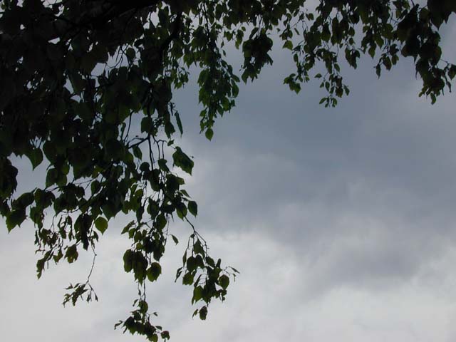 DSCN8269