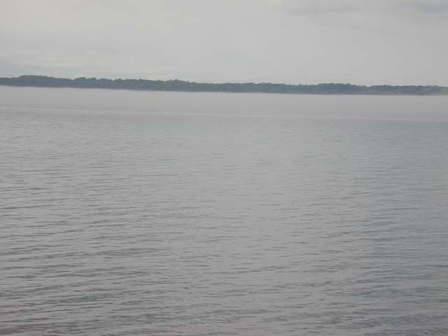 DSCN8282