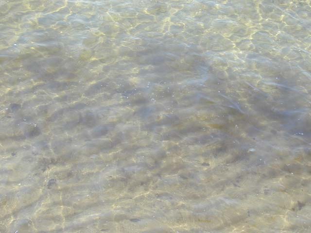 DSCN8312