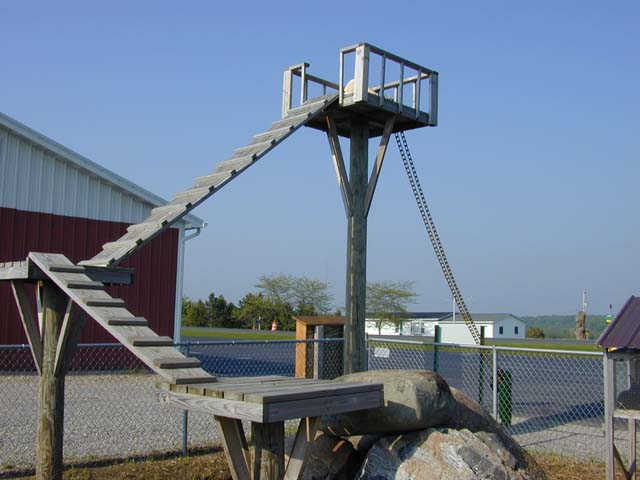 DSCN8331
