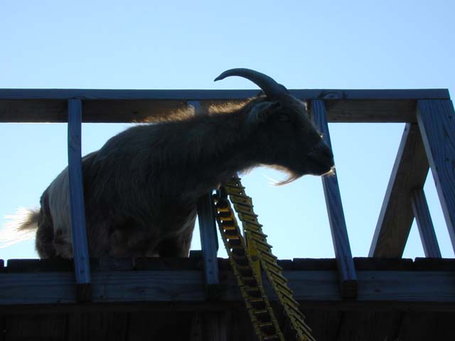 DSCN8343