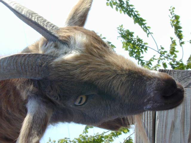 DSCN8346
