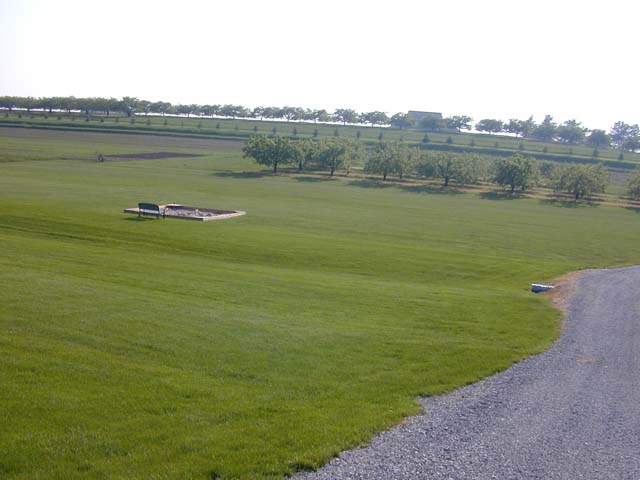DSCN8352