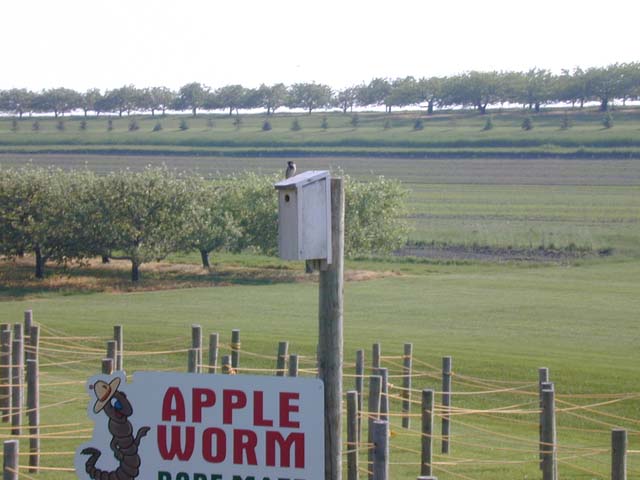 DSCN8366