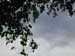 DSCN8269