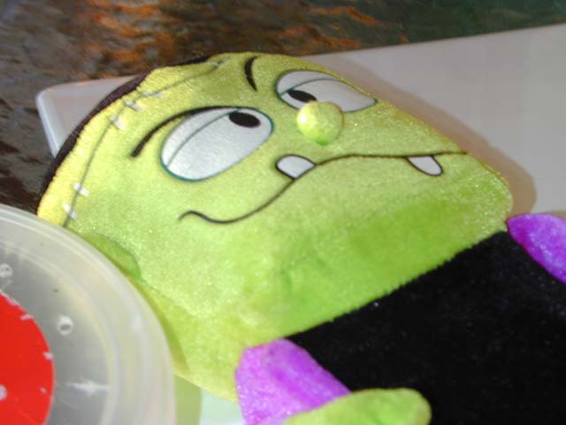 DSCN8560