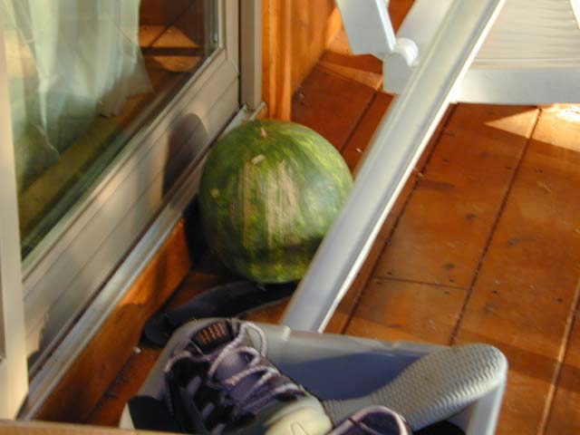 DSCN8564