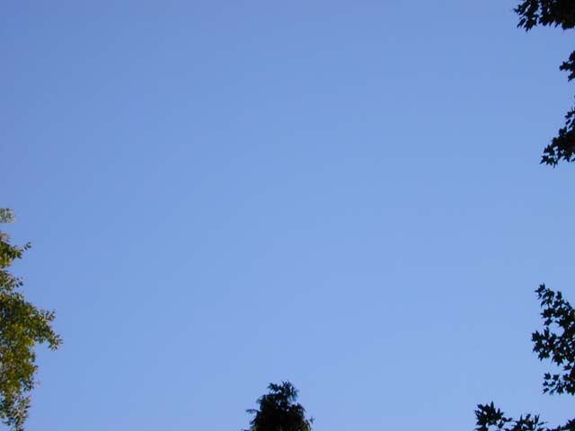 DSCN8565