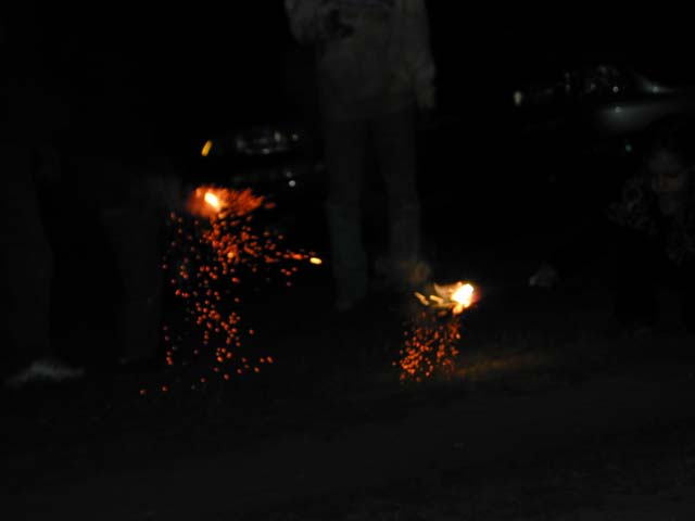 DSCN8595