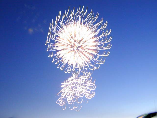 DSCN8633