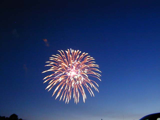 DSCN8634