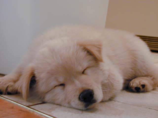 DSCN8455