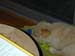 DSCN8673