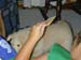 DSCN8681