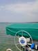 DSCN8913