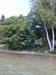 DSCN8934
