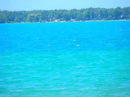 DSCN1990