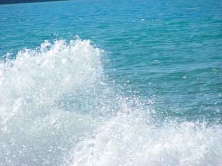 DSCN2236