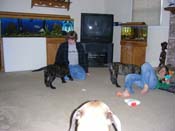 DSCN3063