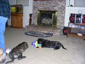 DSCN3068