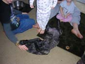 DSCN3106