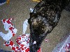 DSCN3557.JPG